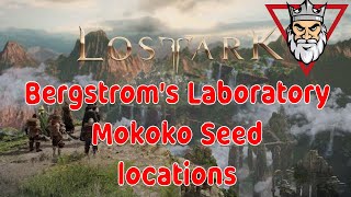 Lost Ark  Bergstroms Laboratory  All Mokoko Seed Locations [upl. by Worl894]