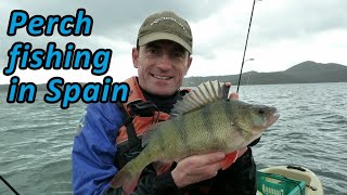 Perch lure fishing in Spain [upl. by Litman815]