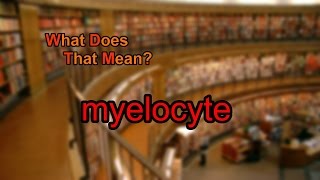 What does myelocyte mean [upl. by Frodeen]