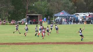 Mini Colts Round 3 Vs Hahndorf 2023 [upl. by Osnola]