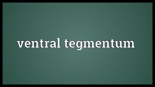 Ventral tegmentum Meaning [upl. by Lhamaj]