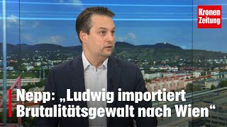 Nepp „Ludwig importiert Brutalitätsgewalt nach Wien“  kronetv NACHGEFRAGT [upl. by Ycniuqal437]