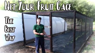 How to build a fruit cage  Brassica net house  Protect your crop from birds amp butterflies [upl. by Mcclelland77]