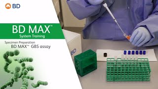 BD MAX™ GBS Assay │ Specimen Preparation [upl. by Dimphia]