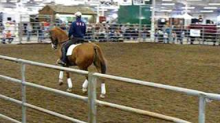 EquiFest 2009  Steffen Peters rides Gabel [upl. by Naneek344]