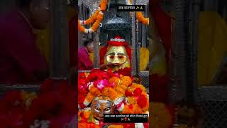 Kaal Bhairav status Ujjain👹  काल भैरव अष्टमी👹kaalbhairav ujjain भैरव shorts shortsfeed [upl. by Arella]