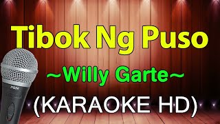 Tibok Ng Puso  Willy Garte KARAOKE HD [upl. by Ellinet776]