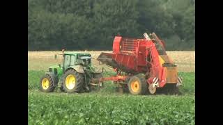 JOHN DEERE 6020 SERIES AND TIM SUGAR BEET HARVESTER [upl. by Ecirtra]