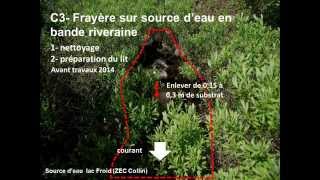 Comment restaurer lhabitat de lomble de fontaine  How to Restore the Brook Trout Habitat [upl. by Plath921]