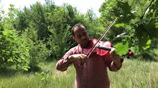 Soltane GhalbhaAref سلطان قلبها عارف violin performanceArash Aghakhani [upl. by Ro]