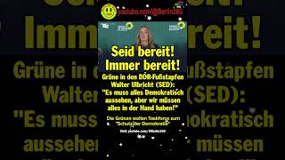 Grünen Bundeskanzler taskforce Afd BSW thüringen sachsen DDR SED demokratie putin schutz [upl. by Chemaram]