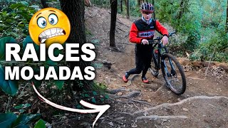 TÉCNICA MTB en BAJADAS Como afrontar RAÍCES 🚀  para Principiantes [upl. by Eemiaj]