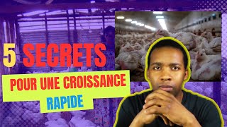 Aviculture en afrique Les 5 Secrets pour la croissance de ta ferme [upl. by Hammer]