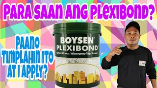 Paano gamitin ang Plexibond Cementitious WaterproofingBoysen PaintsBest Varnish amp Paints [upl. by Airetak]