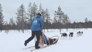 How to drive a husky sledge Lapland Finland [upl. by Adriel626]