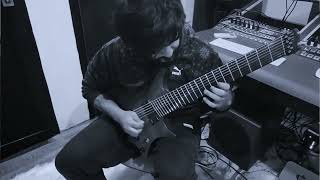 Animals as Leaders  The Woven Web  Guitar Cover [upl. by Arodal]