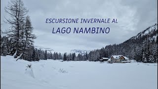 Escursione invernale al lago e rifugio Nambino  Madonna di Campiglio  Dog Trekking [upl. by Toback]