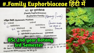 Family Euphorbiaceae in Hindi  BSc 2nd year Botany Third Semester [upl. by Ardried]