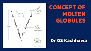 Concept of Molten Globule and condensation [upl. by Rebeca]