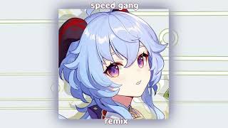 1900 Speed Gang TikTok Remix [upl. by Sidwell391]