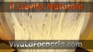 Ricetta per Fare il Lievito Naturale Lievito Madre LiCoLi o Pasta Madre in Casa [upl. by Uile]