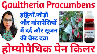 Gaultheria Homeopathic Medicine  Gaultheria Procumbens Homeopathic Medicine Uses  pain Killer [upl. by Boyd400]