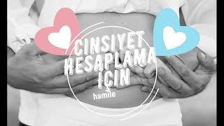 Çin Takvimi Cinsiyet Hesaplama Nasıl Yapılır [upl. by Mossman]