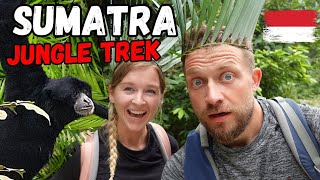 Black Gibbons are Creepy Sumatra Trek Part 2  Indonesia [upl. by Asilec]