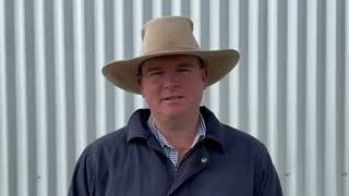 Inverell Cattle Market Report 9724 [upl. by Deonne]