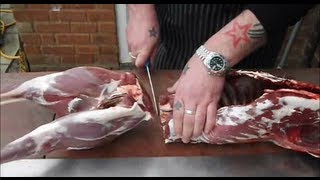 How To Butcher A Deer At HomeThe ultimate deer butchery videoVENISON [upl. by Doe899]