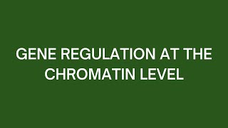 Gene Regulation at the Chromatin Level [upl. by Garrity895]