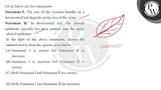 Given below are two statements\nStatement I The size of the vascular bundles in a dorsiventral [upl. by Xavler]