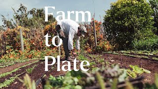 Farm to Plate amp Market Garden Tour  Portugal  horta [upl. by Erv]