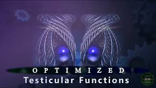 TESTES  Optimized Testicular Functions Steroidogenesis amp Spermatogenesis Volume Blood Flow [upl. by Kuth]