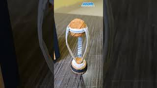 world cup trophy  cardboard world cup trophy  how to make cardboard crafts [upl. by Jobye]