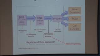 Research Techniques Spring 2019 Ribosome Profiling a monitor for protein systhesis at the genome w [upl. by Misha]