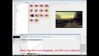 Color Filter  Sony Vegas Tutorial [upl. by Wilda180]