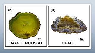 POLYMORPHISME [upl. by Ydner]