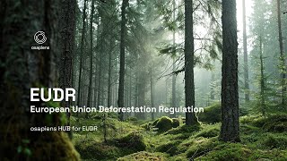 Complying with EUDR How the osapiens HUB Supports DeforestationFree Supply Chains [upl. by Finnegan47]