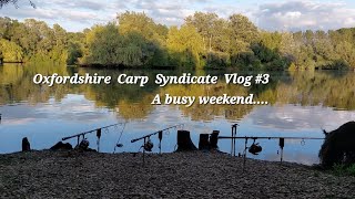 Oxford Linear Carp Fishery Syndicate  Vlog 3  A busy weekend [upl. by Wiltz]