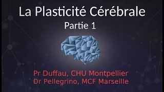 CONFERENCE NEURONAUTES La plasticité cérébrale  Christophe PELLEGRINO Partie 1 [upl. by Monjo]