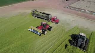 MASSIVE 10000 ACRE SILAGE PILE [upl. by Kacerek801]