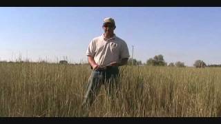 Grazing Management Basics [upl. by Roselin462]