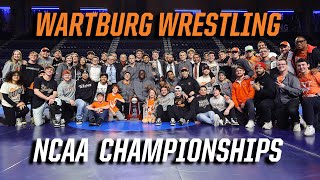 Wartburg Mens Wrestling 2023 NCAA Championships Highlights [upl. by Ecinaj]