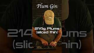 How to Make Plum Infused Gin in 1 Day 24 Hour Infusion Recipe [upl. by Kearney]