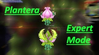 Expert Mode Guide  Plantera MAGE [upl. by Garretson982]