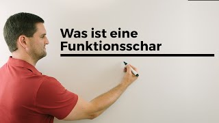 Was ist eine Funktionsschar Teil 2 Parameterfunktion Kurvenschar  Mathe by Daniel Jung [upl. by Einal]