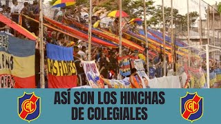 Colegiales  Sacachispas  Previa con los HINCHAS del TRICOLOR  Erik Lamela Colegiales Ascenso [upl. by Augie879]