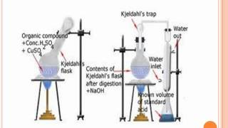 Kjeldahl method of nitrogen estimation [upl. by Kant407]