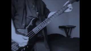 The Chameleons  Second Skin  Bass Cover [upl. by Cristabel303]